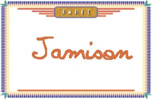 JamisonдӢ