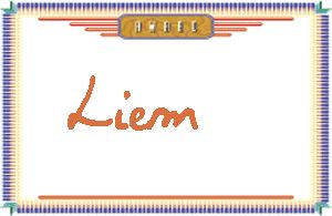LiemдӢ
