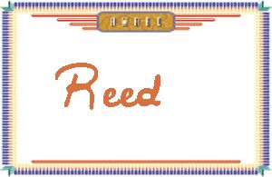 Reed的手写英文