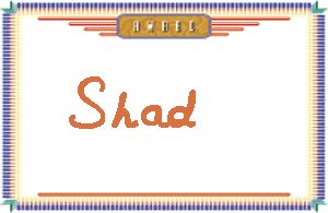 ShadдӢ
